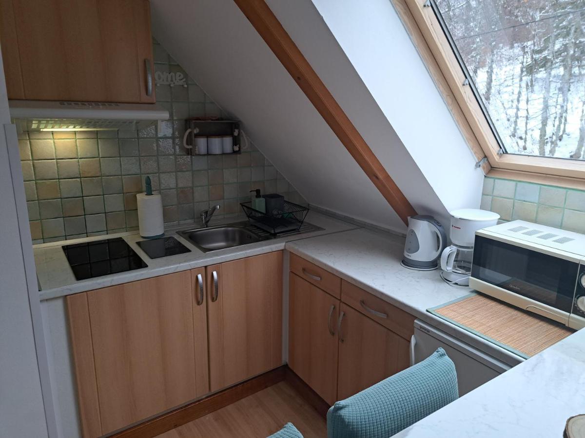 Apartment Erika Fuzine Luaran gambar